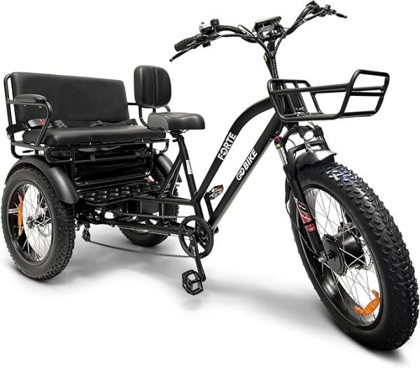 Forte Electric Bike